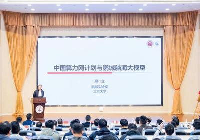 中国工程院院士高文教授作报告